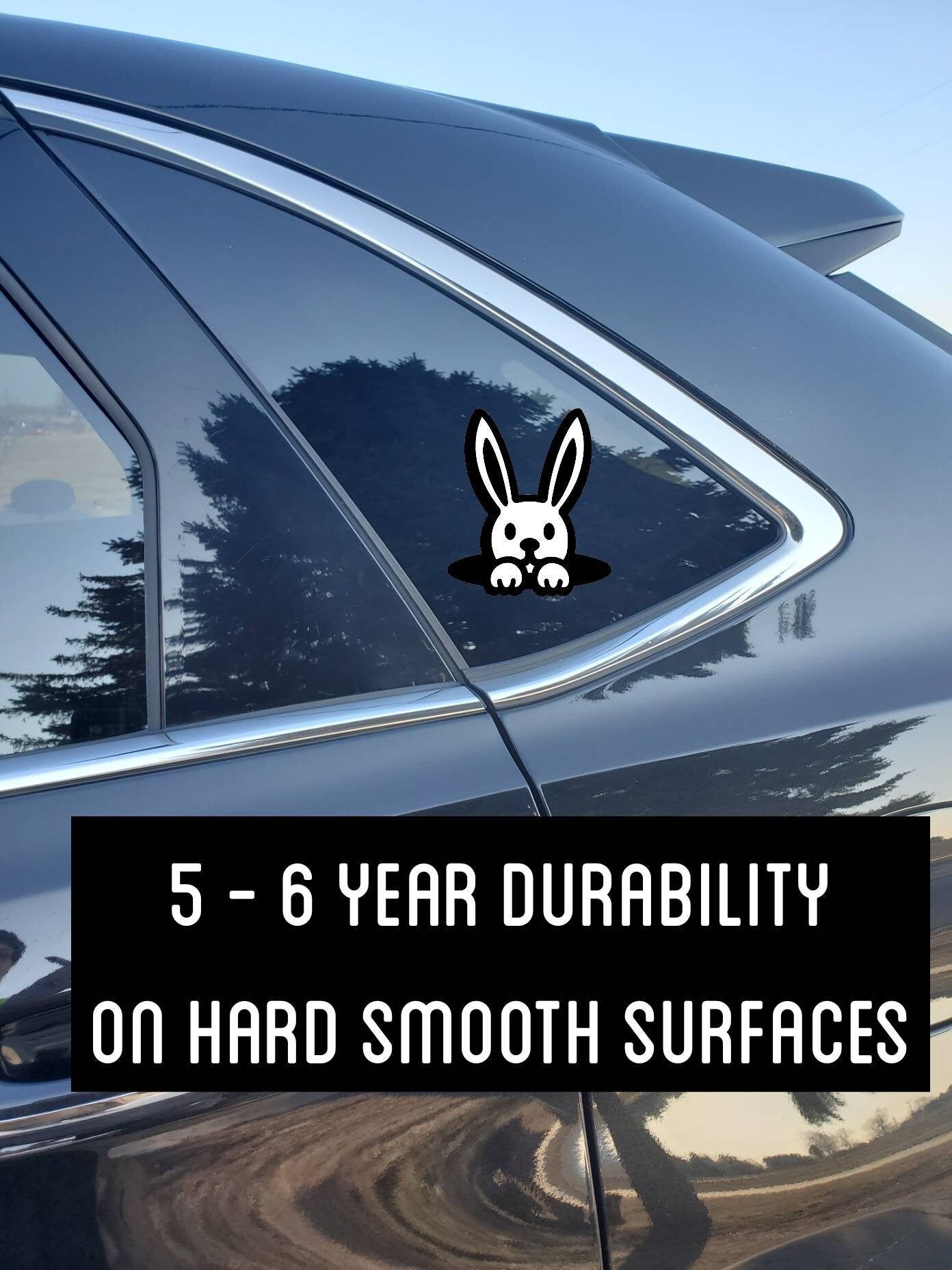 Rabbit Peeking out of Hole Vinyl Decal