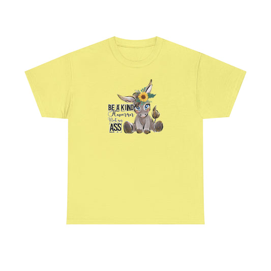 Be a Kind Human Shirt